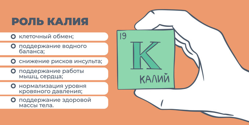 Многие даже не догадываются КАК дефицит калия отражается на самочувствии и здоровье. Продукты-рекордсмены по содержанию калия