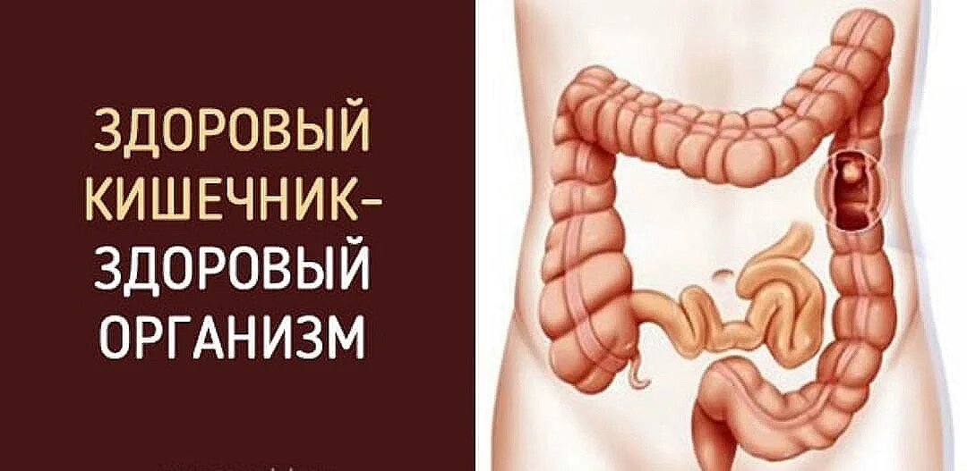 Здоровый кишечник - залог здоровья всего организма. Покупая эти продукты, мы сами создаем проблемы