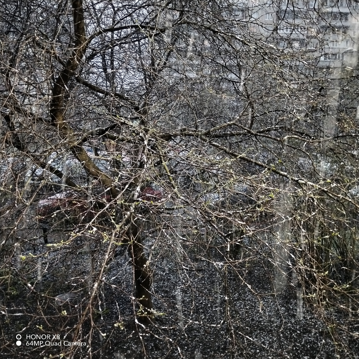 ЗА МОИМ ОКНОМ, ЯНВАРЯ 19-е, из личных фото автора Лидии Шатиловой