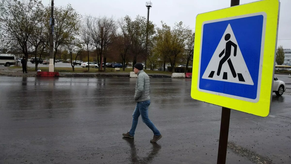     Источник: novostivolgograda.ru