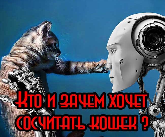 Что стоит за поголовным учётом кошек в 2025 году?