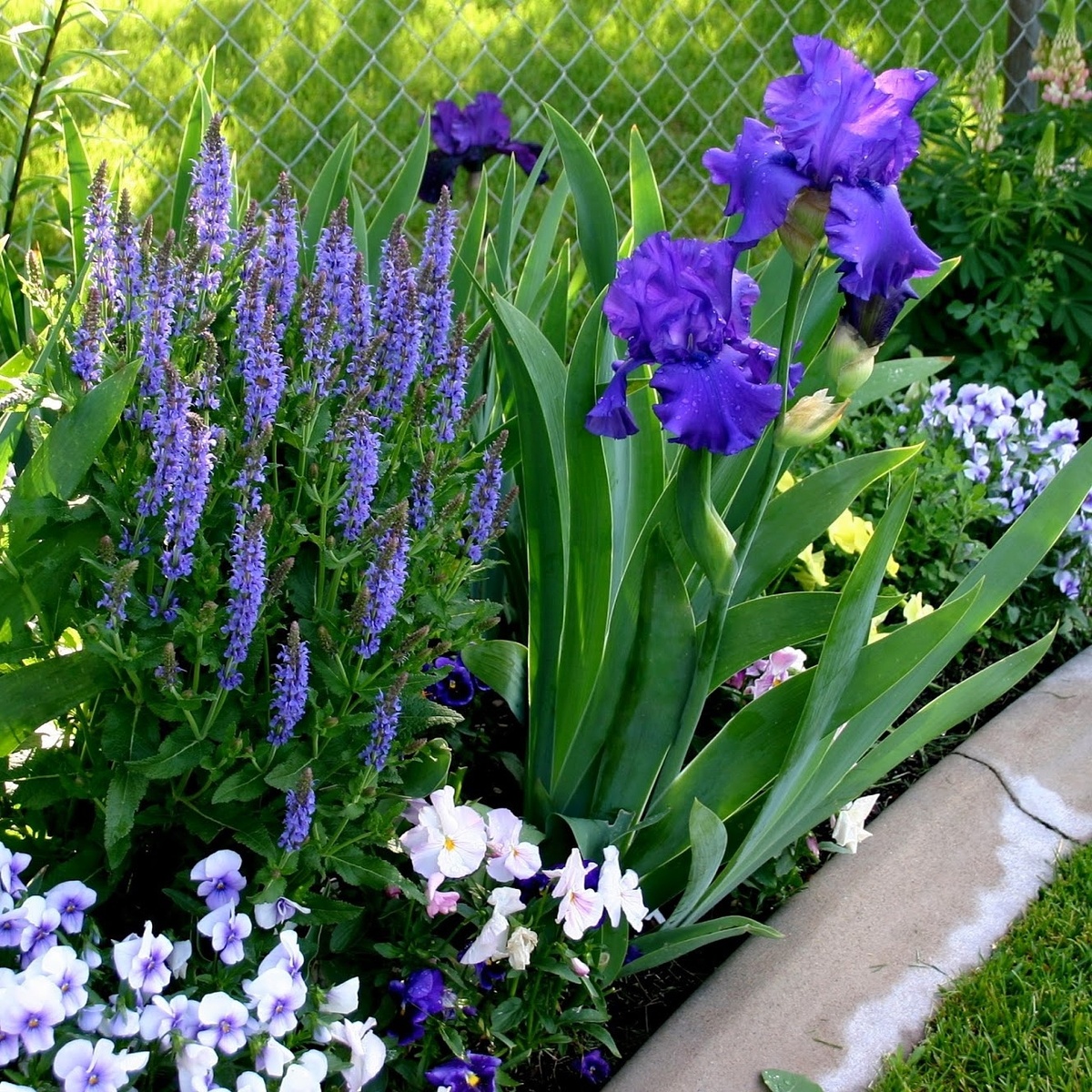 Листайте галерею по стрелке вправо