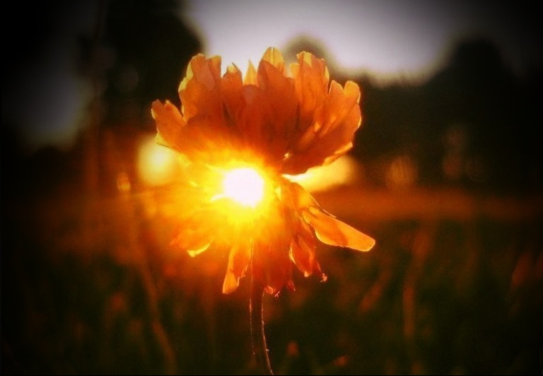 Причина происходящего с тобой в тебе самом...