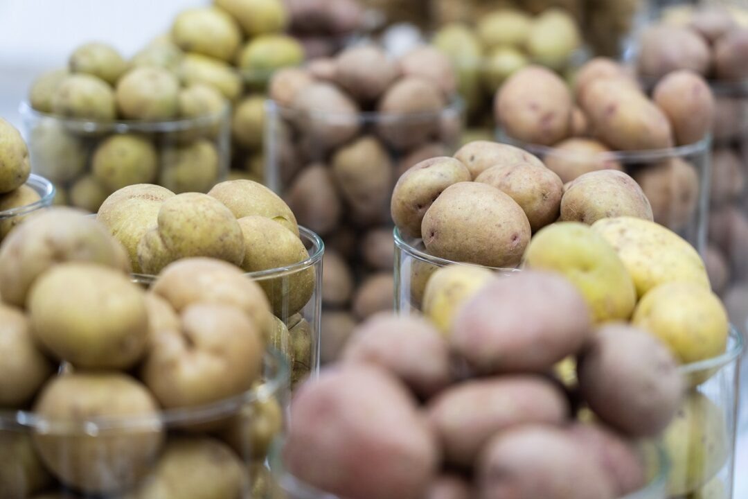 Фото: Александр Плонский / «Агроэксперт»