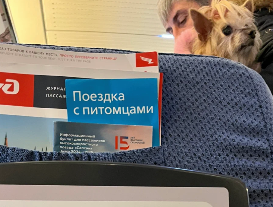 Условия приобретение тура. Экономия на туре. Когда покупать туры. Когда покупать туры. Когда покупать туры.