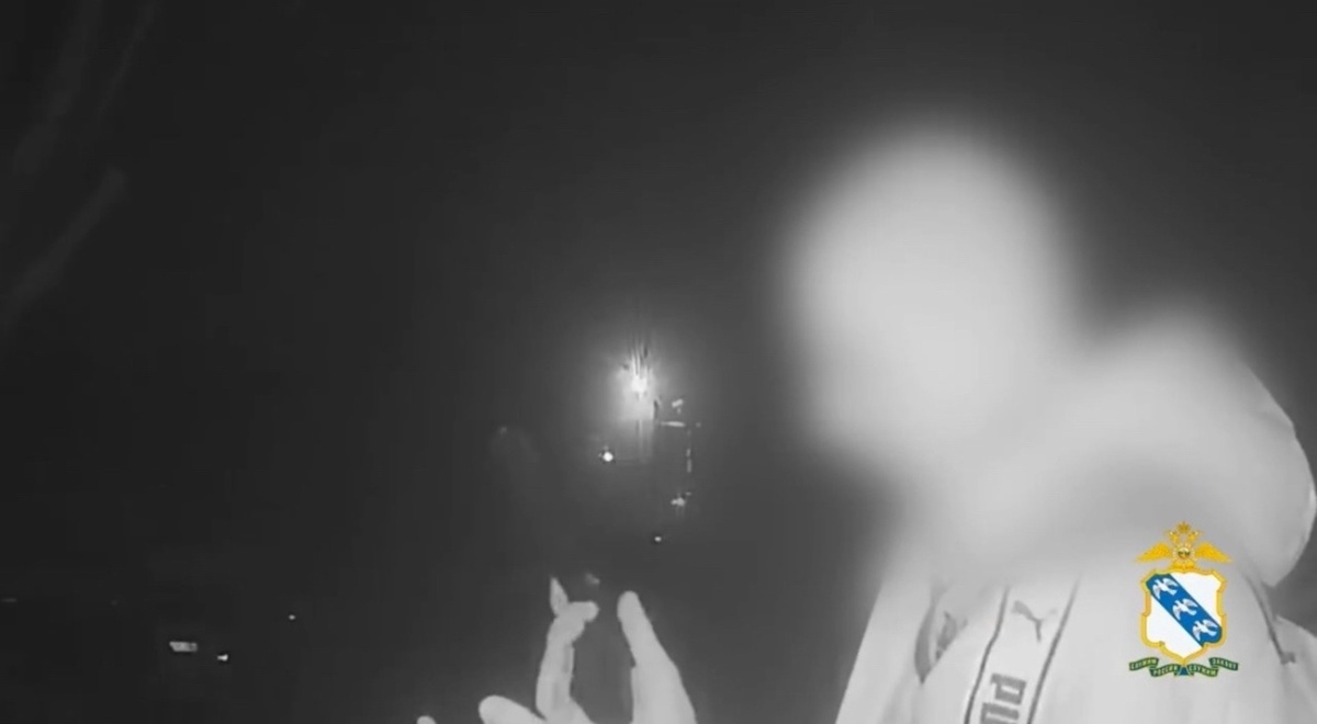    «Я решил похулиганить»: в Курске полицейские нашли парня, повредившего чужую машину из «пневматики»