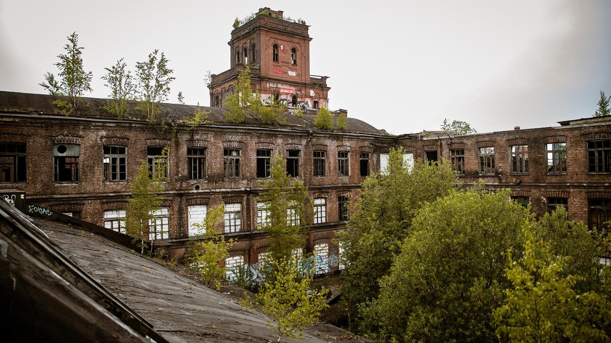    Фото: wikimedia.org/Okras; CC BY-SA 4.0