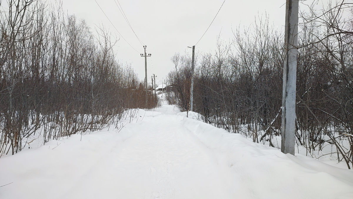 Зимний пейзаж в селе