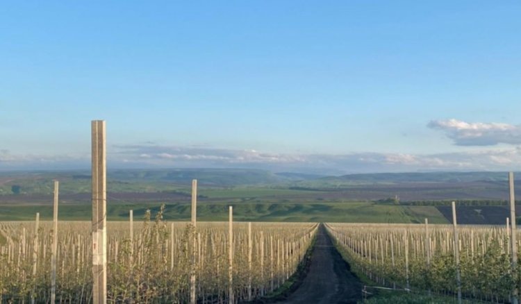    В Карачаево-Черкесии построили фруктохранилище на 10 тысяч тонн и готовится еще одно
