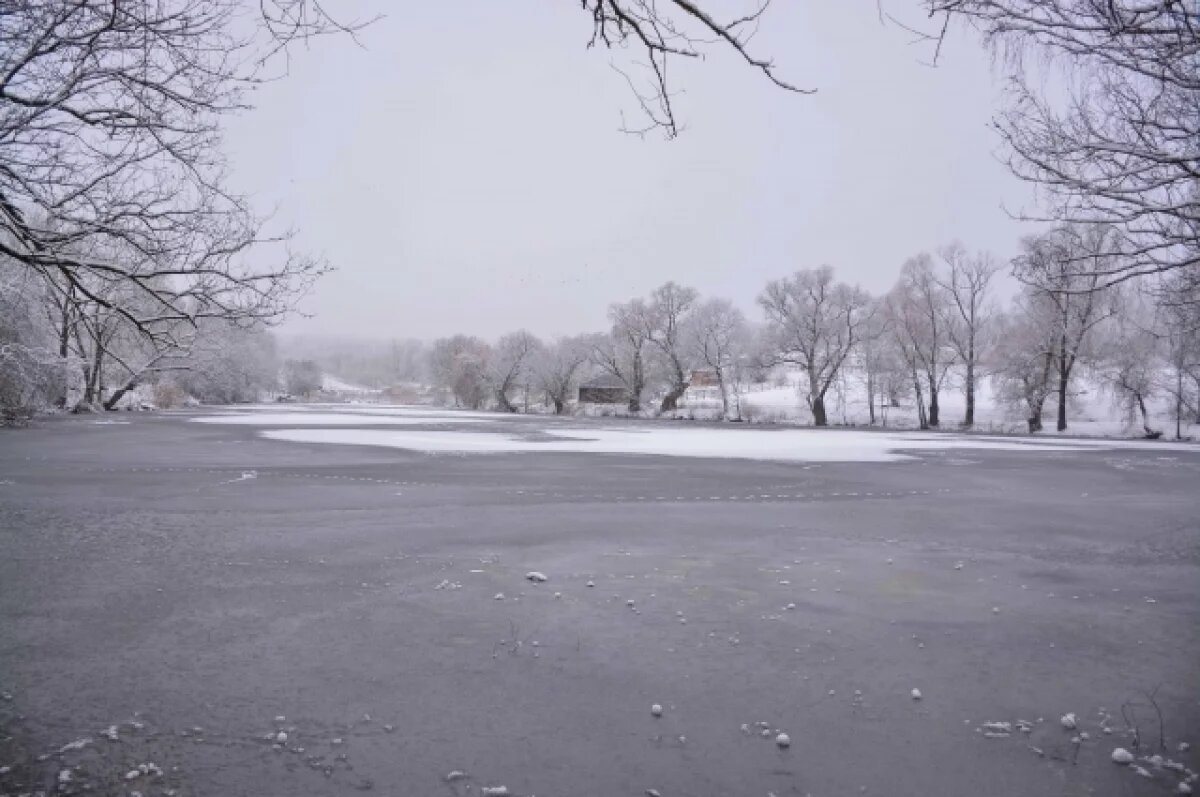    В Туле 18 января ожидается небольшой дождь и до +2