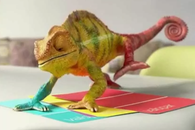 Меняй цвет и прячься! А вам слабо? ))