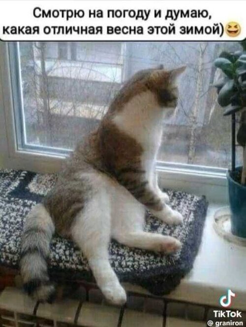 Картинка с просторов интернета. Чей-то скрин, с чьего-то видео... 