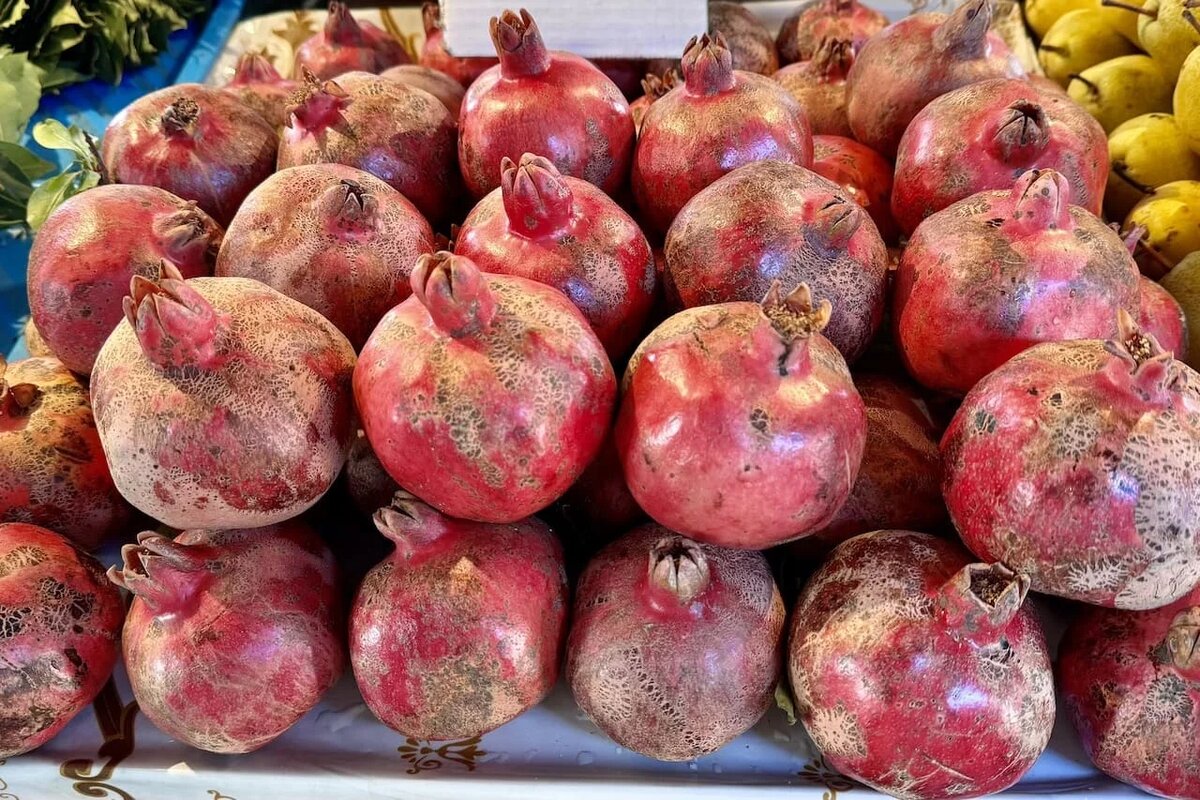 Фото: UfacityNews.ru