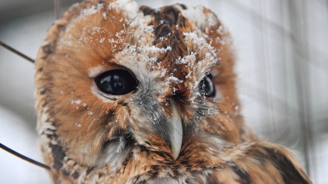    Фото: KOMSOMOLSKAYA PRAVDA/GLOBAL LOOK PRESS