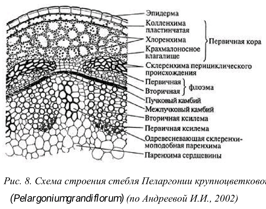 рисунок отсюда https://elib.pnzgu.ru/files/eb/doc/2OfMUtkdHm3c.pdf