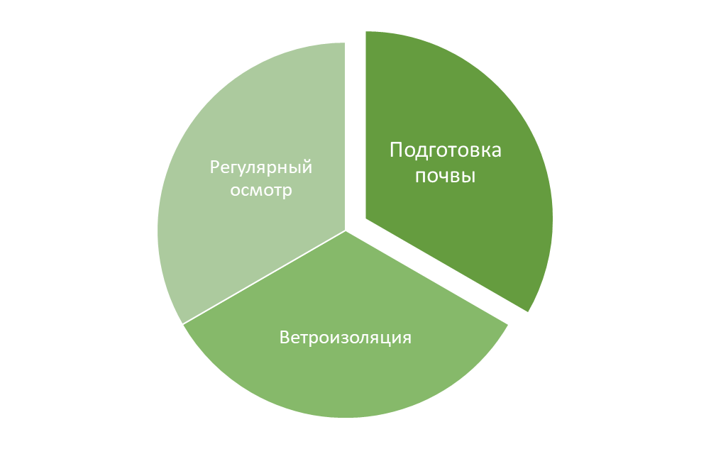 Три шага в уходе за растениями зимой