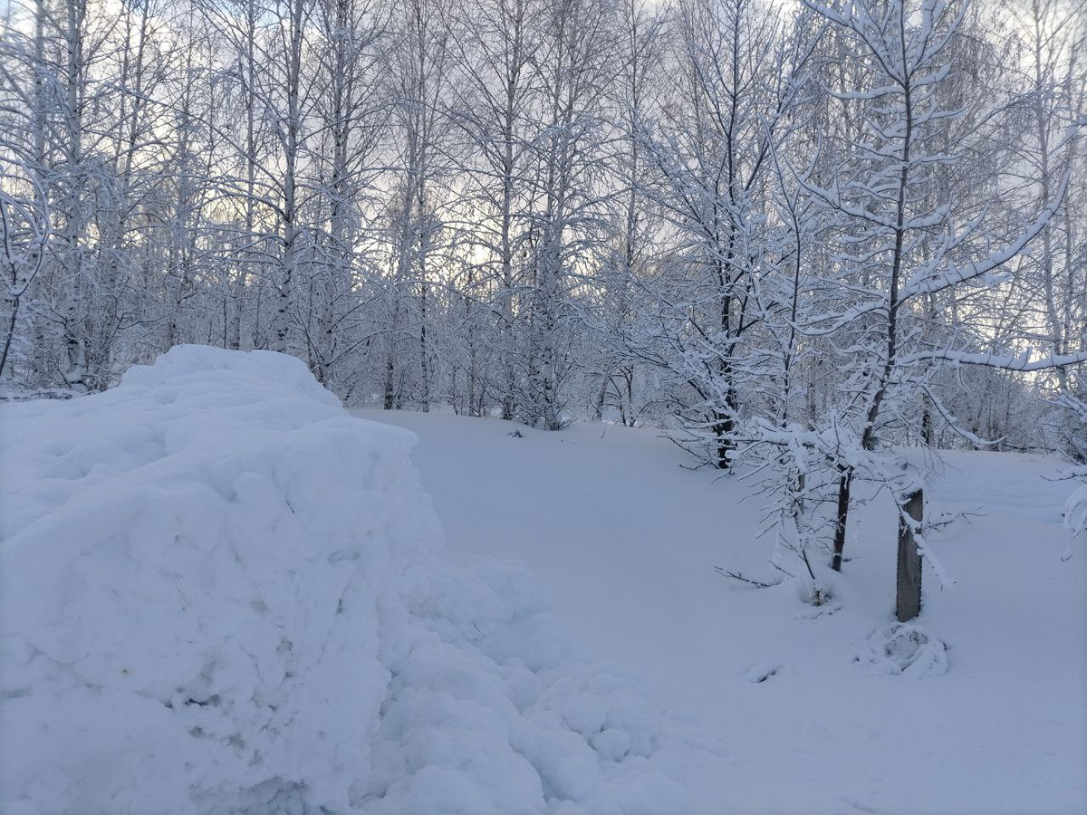 Фото автора.