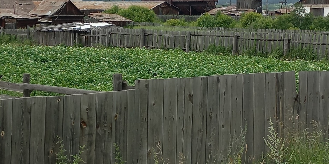 Уезжаем за Байкал. Большое автомобильное путешествие из Петербурга на Байкал и в Монголию. #13. Трасса «Байкал» и Баргузинский тракт