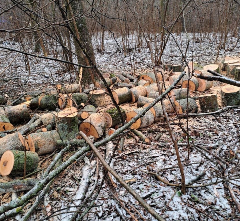 Фото: администрация Курска
