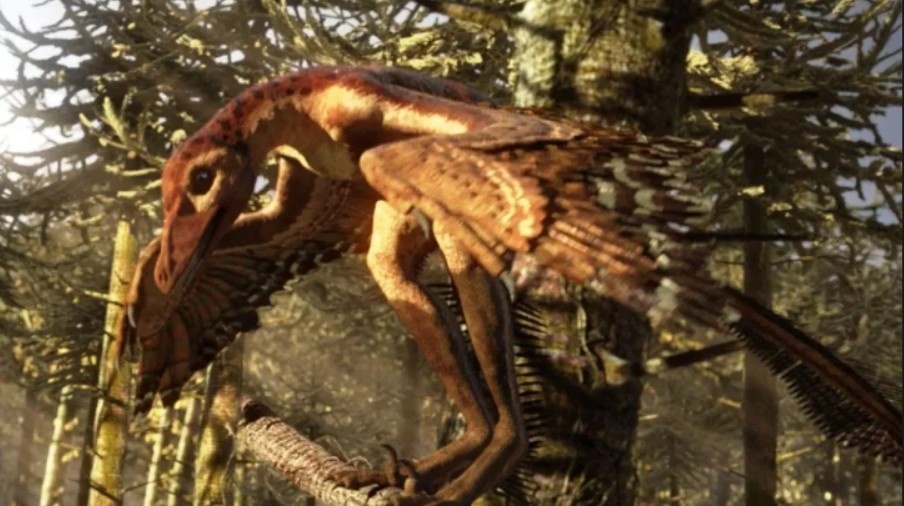 Синорнитозавр – КУСЬ!