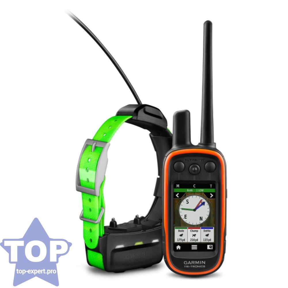 Garmin Alpha 100