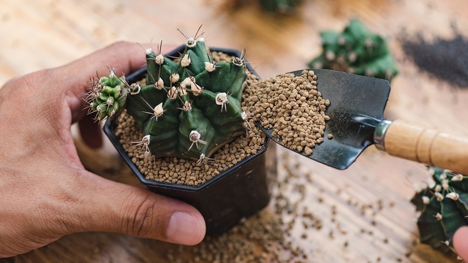 ShutterStock/Fotodom.ru