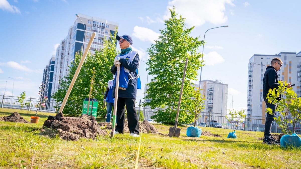    В Югре подвели итоги регионального проекта «Сохранение лесов»