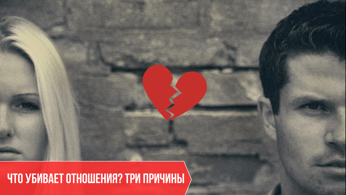 фотоколаж автора фото pexels.com