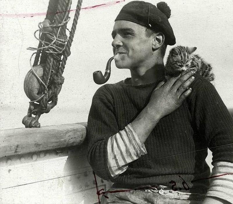 Фото взято из общей сети интернет.