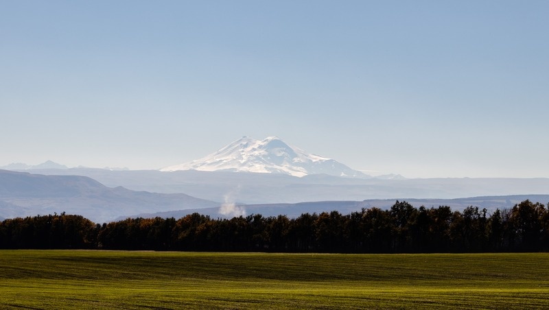      Фото: ИА «Победа26»