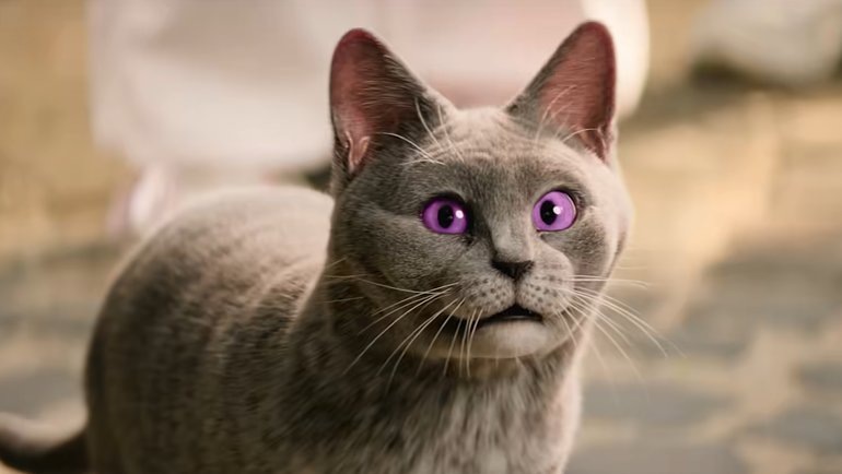    Кадр из фильма «Школа магических зверей. Загадка волшебного леса», реж. Свен Унтервальдт мл. / Leonine Studios, Kordes & Kordes Film GmbH, Lightburst Pictures