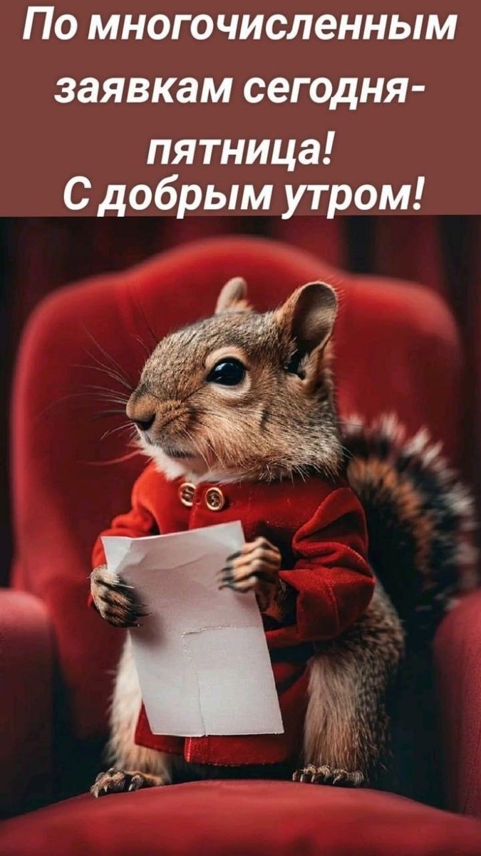 Фото из интернета.