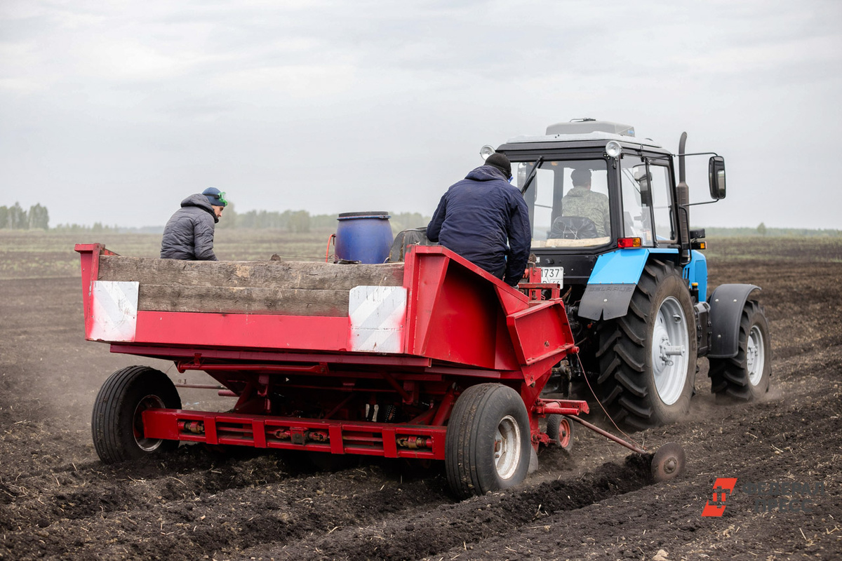 Прошлогодние заморозки причинили ущерб Псковской области.  Фото: Фото: ФедералПресс / Евгений Поторочин