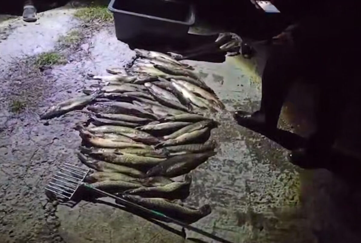    Фото: скрин видео соцсетей