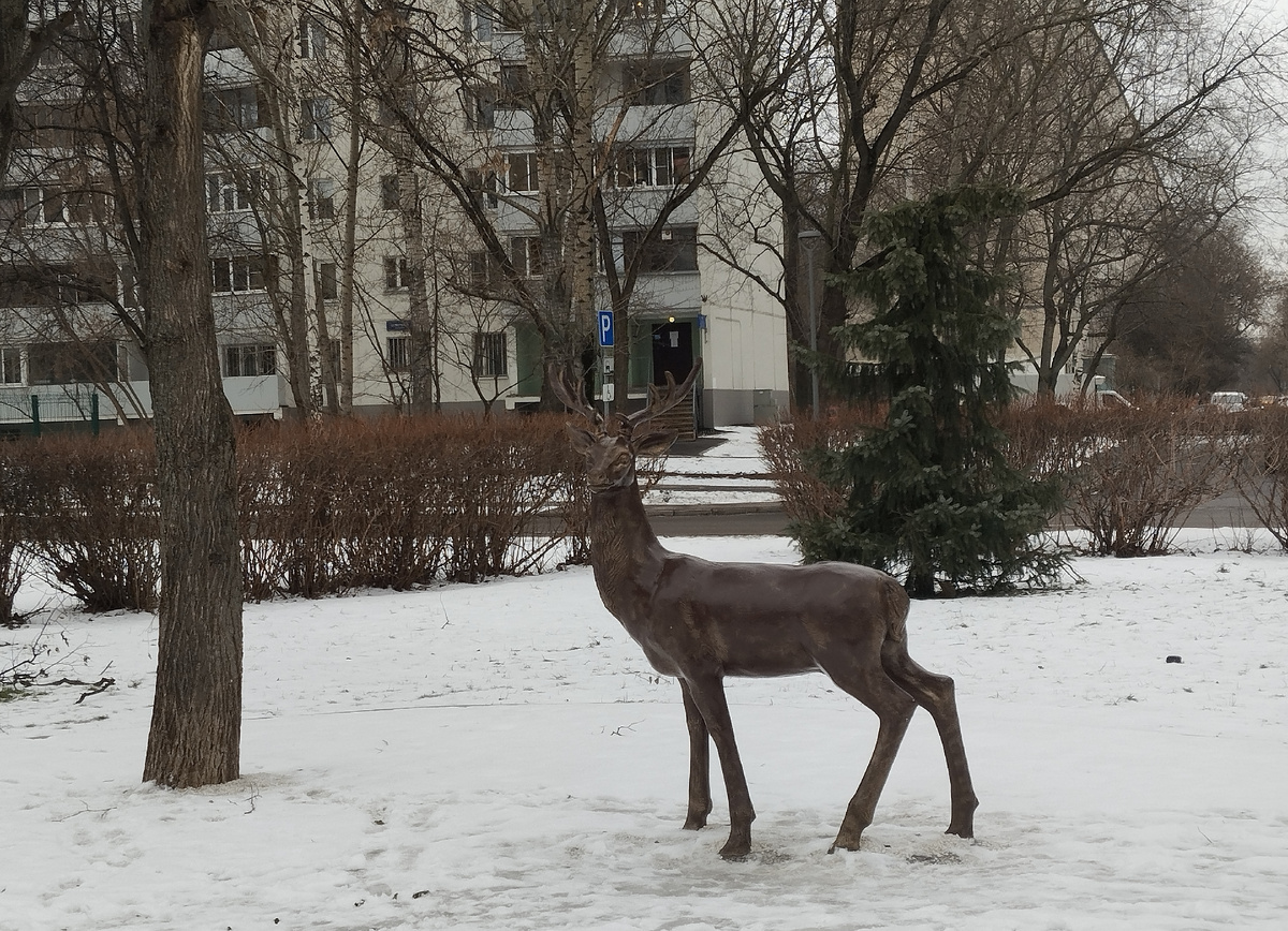 16.01.2025 г, четверг. Северный бульвар. ЗДЕСЬ и далее фото автора и(или) из личного архива автора, если не указано иначе.