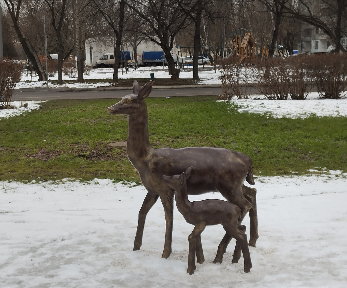 Олени на Северном бульваре. 16.01.2025 г, четверг.