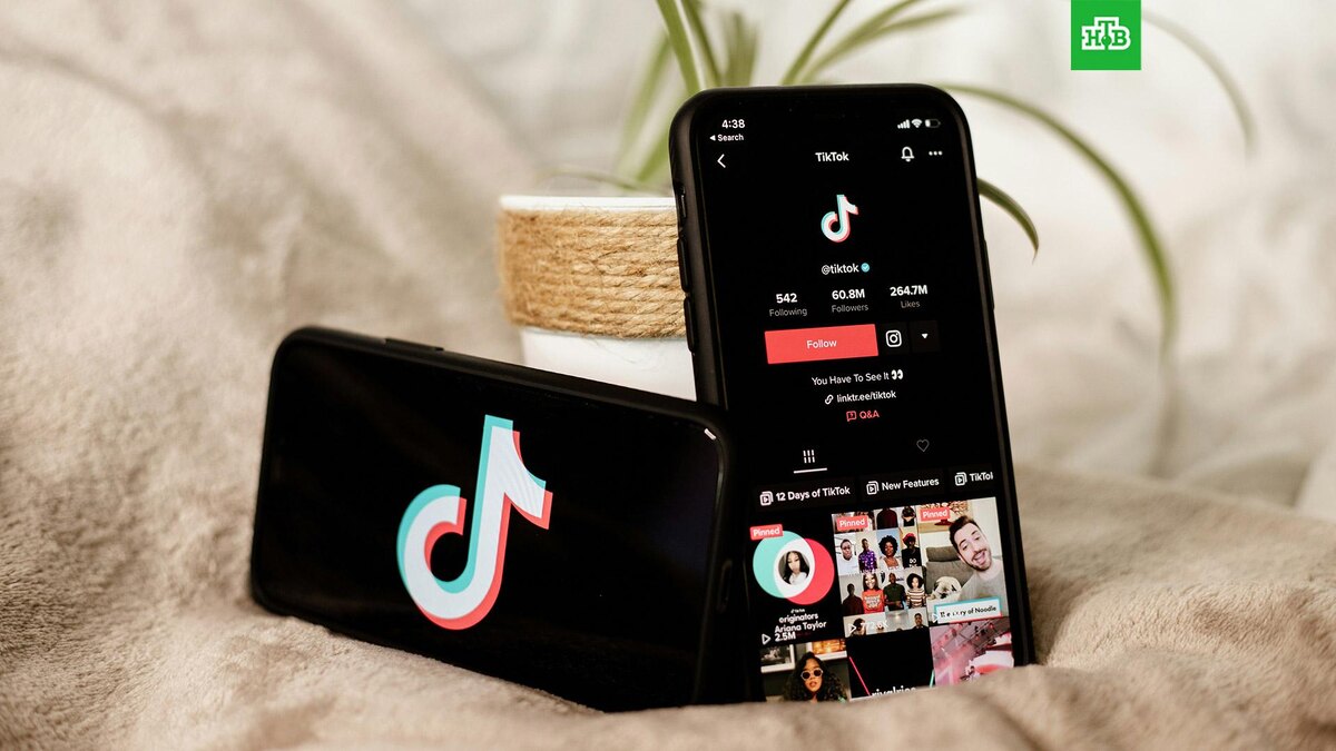    Фото: Collabstr / unsplash.com