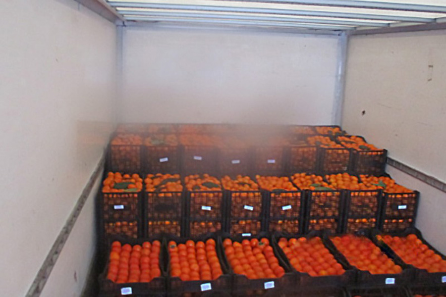    Фото: Россельхознадзор