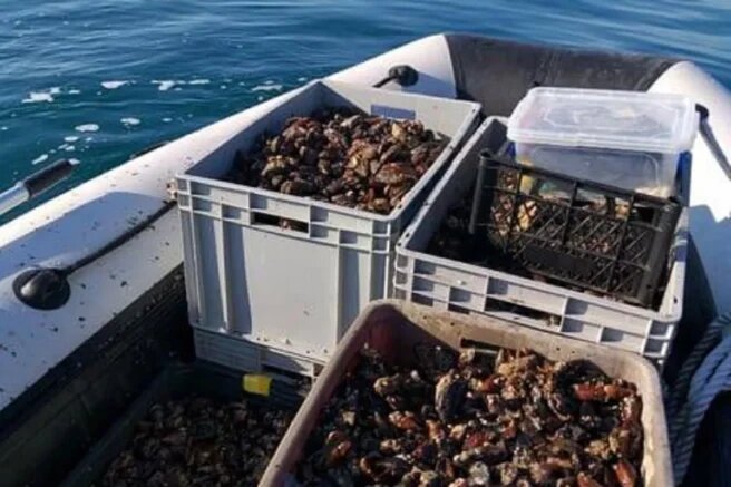    Фото: t.me/rsn_yug