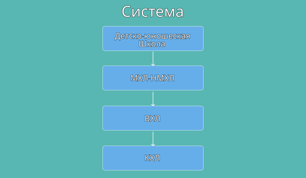 Грубая схема того, как устроена система в хоккее