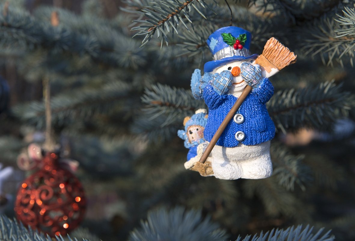 Фото: Nikolay Gyngazov / Globallookpress.com