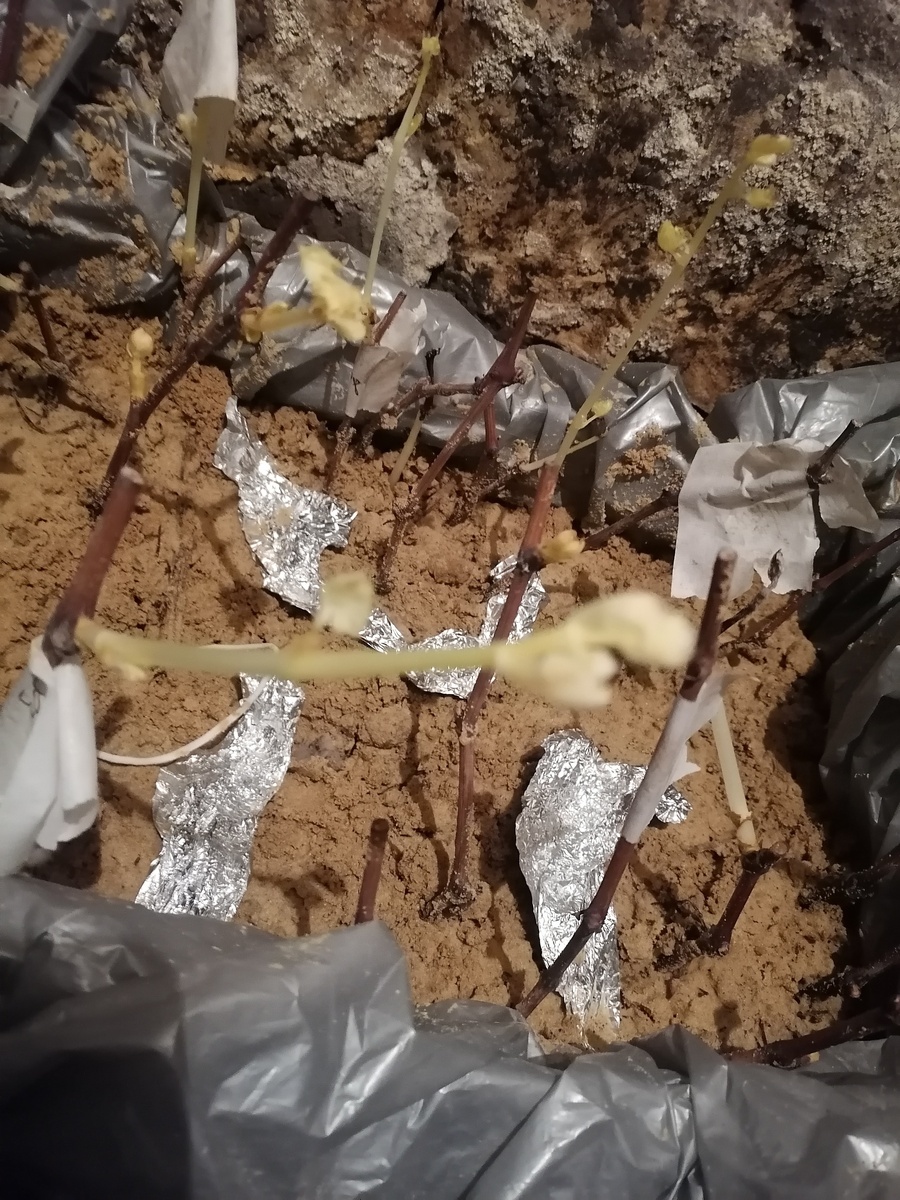 Фото подписчика