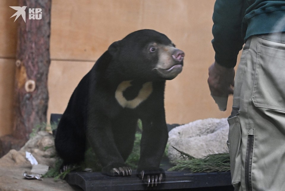   Михаил ФРОЛОВ