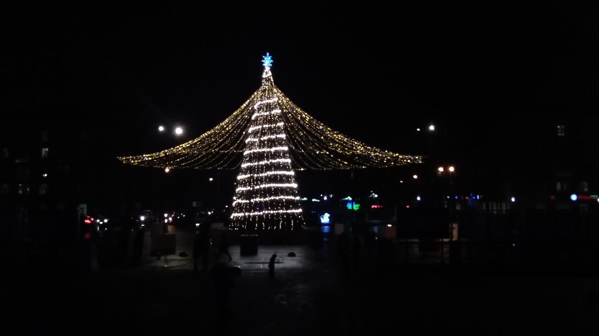 Так мы и встречали новый, 2020 год. Без снега.