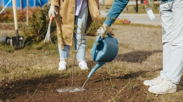    © Фото: пресс-служба арт-кластера "Таврида"