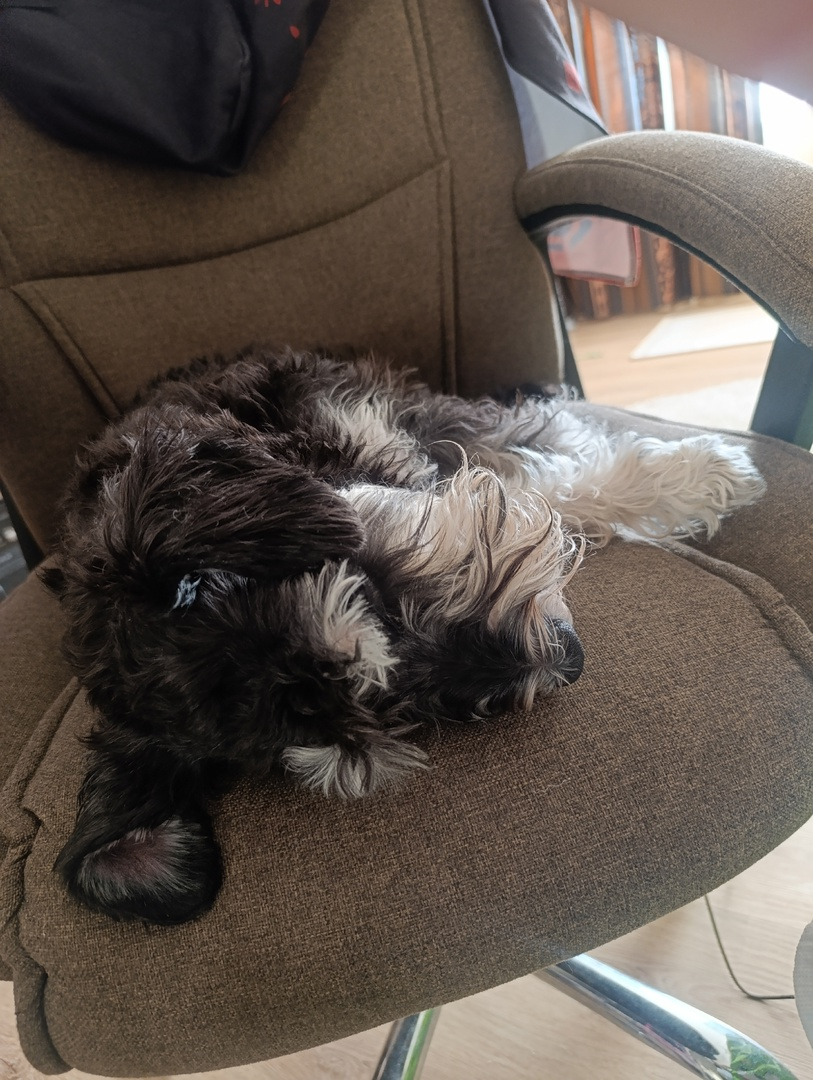 Спать в кресле буквой зью - наше всё!