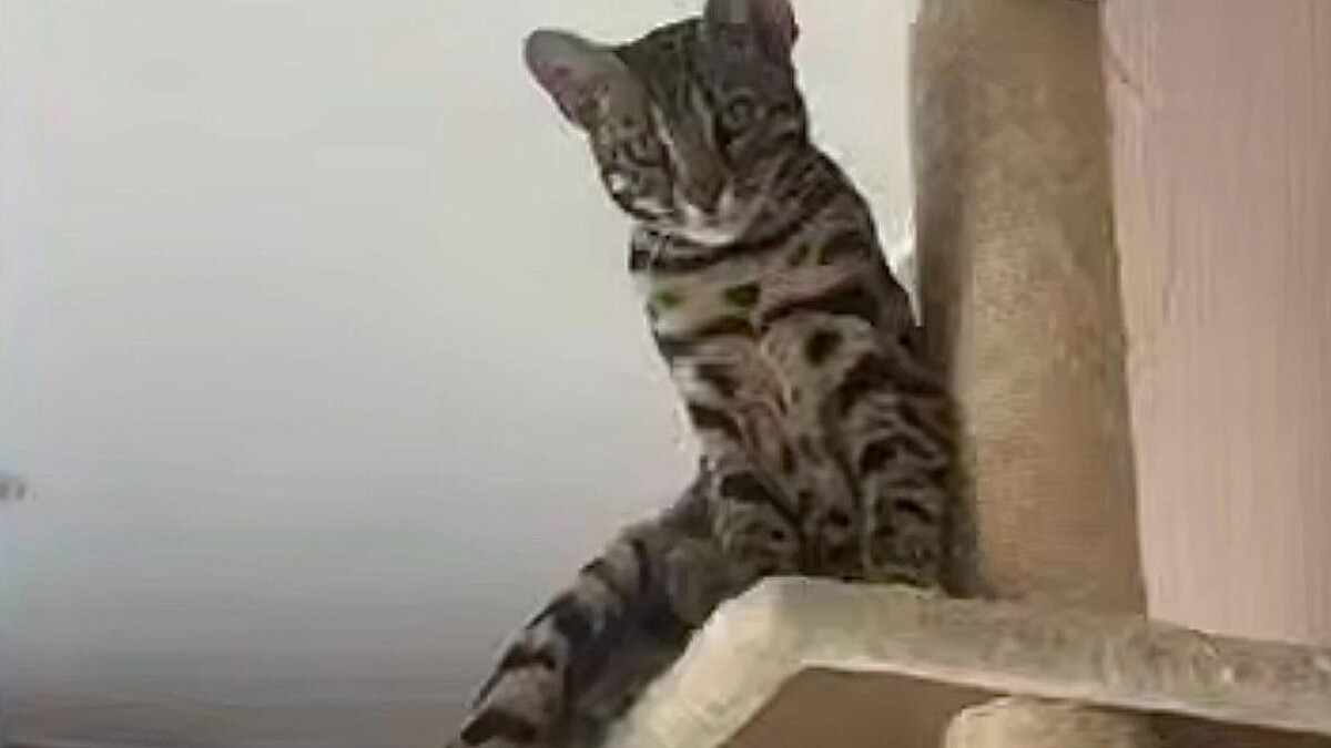    Фото: t.me/typodar