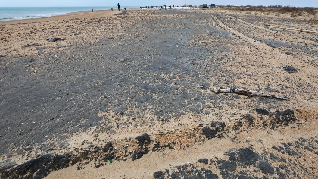    Belkin Alexey/news.ru/Globallookpress