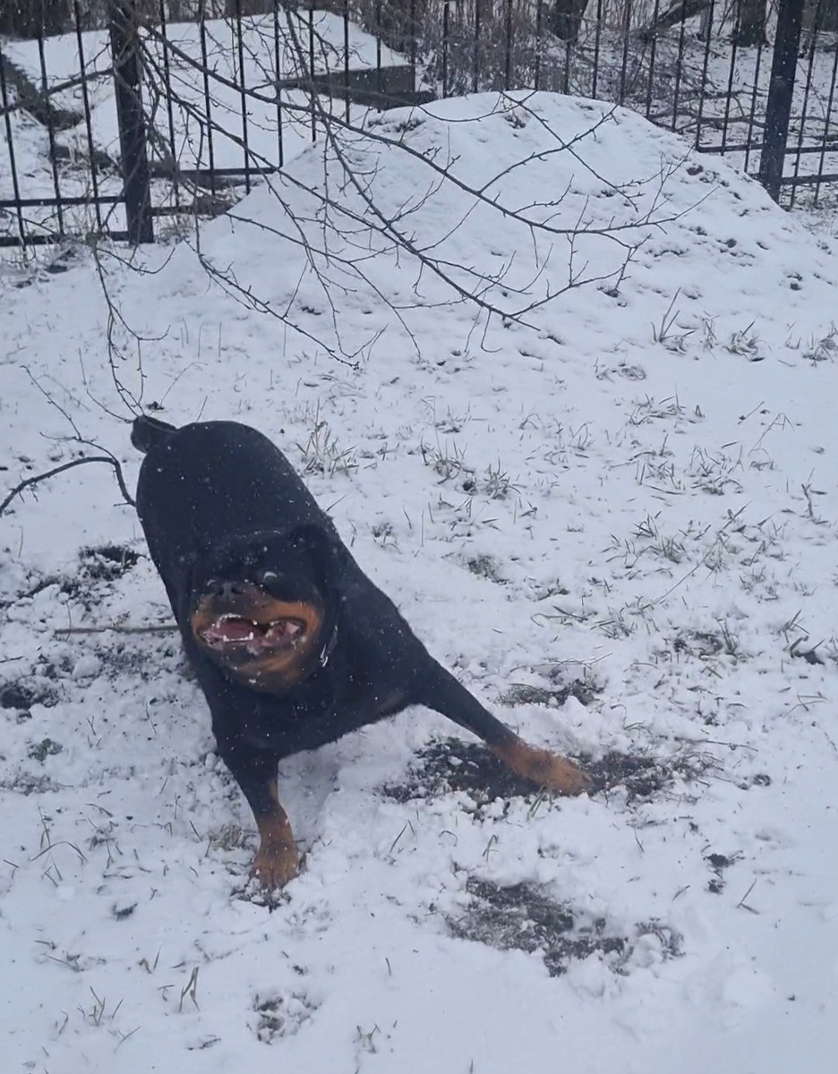 Брось свой телефон, догоняй!