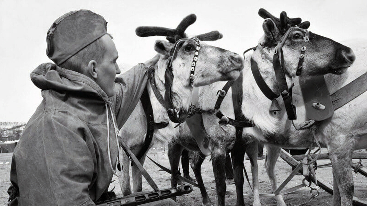 Фотохроника Великой Отечественной войны